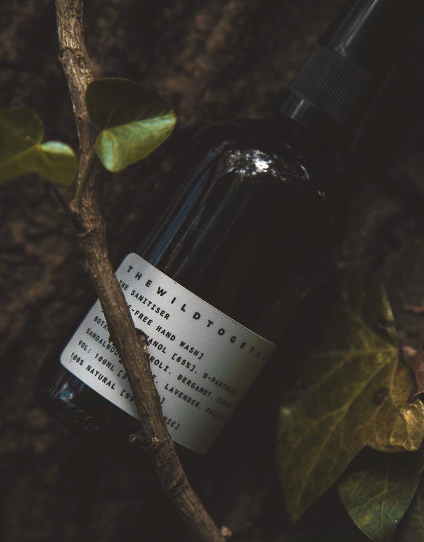 The Wild Together - The Sanitiser 2